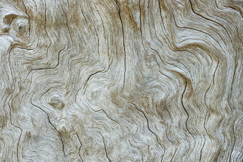 Teak Oil vs Natural Teak Finish: What to Specify